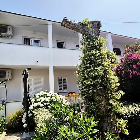 Apartament Ara-olga *